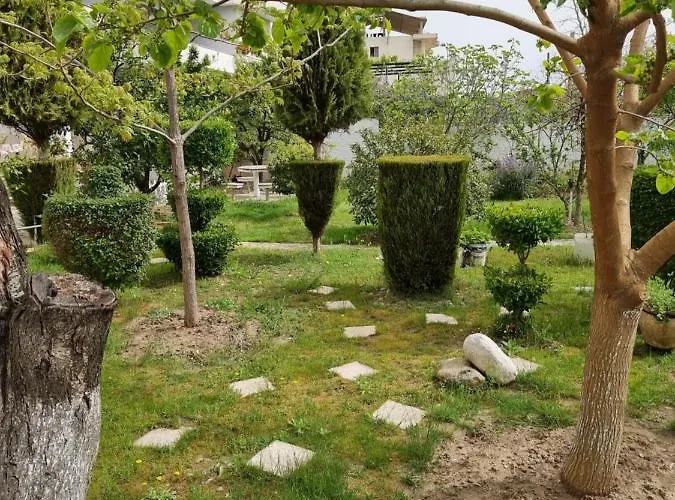 Elezi בית הארחה דורס